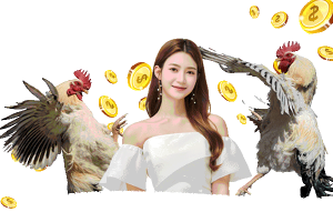 các loại hình đá gà